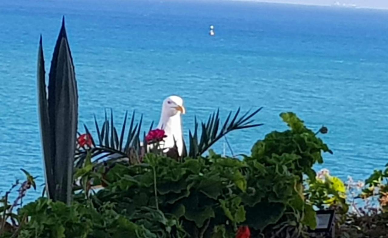 Appartement Bord De Mer Et Piscine En Option Tangier Bagian luar foto